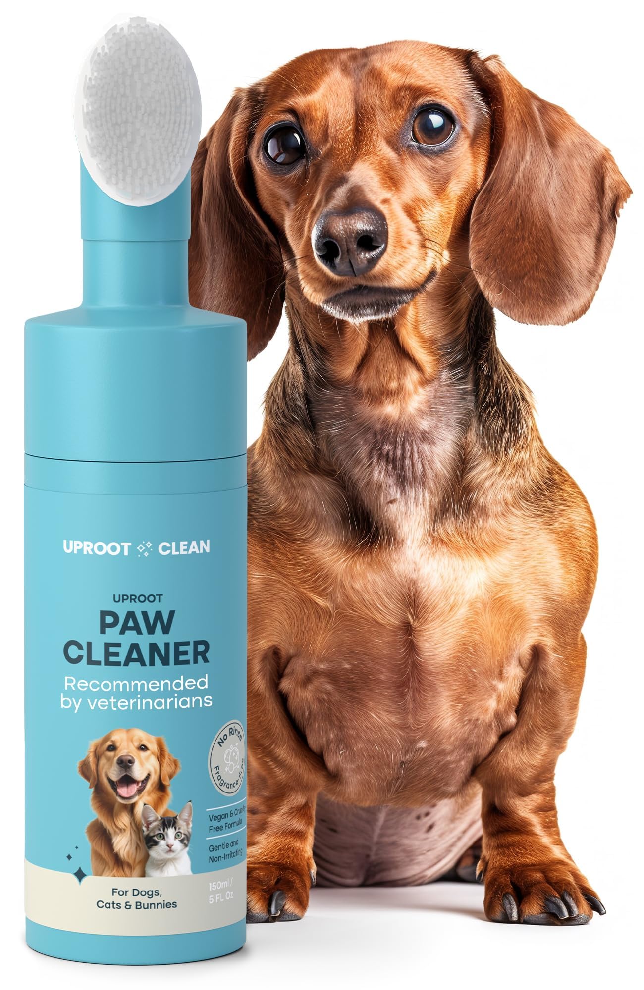 Paw Cleaners